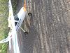 Click image for larger version. 

Name:	20141129_084249.jpg 
Views:	317 
Size:	597.7  
ID:	116654
