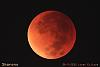 Click image for larger version. 

Name:	2015 Lunar Eclipse with Supermoon - 7 Full.jpg‏ 
Views:	190 
Size:	243.4  
ID:	131928