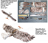 Click image for larger version. 

Name:	519eb46b-5b35-4678-9676-8ac2d5c7966e.png 
Views:	253 
Size:	161.1  
ID:	142547