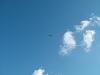 Click image for larger version. 

Name:	DSCF5332.JPG 
Views:	57 
Size:	18.1  
ID:	44177