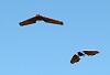 Click image for larger version. 

Name:	skyfun_mwc.jpg 
Views:	119 
Size:	51.3  
ID:	52140