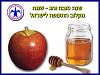 Click image for larger version. 

Name:	happy new year.jpg 
Views:	764 
Size:	62.0  
ID:	53841