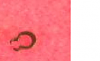Click image for larger version. 

Name:	KEDA C-clip.png 
Views:	123 
Size:	15.8  
ID:	56453