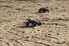 Click image for larger version. 

Name:	RC - Car 7-12-2012 (15).jpg 
Views:	217 
Size:	149.5  
ID:	80106