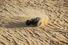 Click image for larger version. 

Name:	RC - Car 7-12-2012 (77).jpg 
Views:	190 
Size:	127.8  
ID:	80120