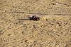 Click image for larger version. 

Name:	RC - Car 7-12-2012 (92).jpg 
Views:	205 
Size:	143.8  
ID:	80124