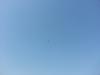 Click image for larger version. 

Name:	20130309_112202 (Copy).jpg 
Views:	139 
Size:	173.0  
ID:	85632