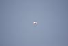 Click image for larger version. 

Name:	מפגן טיסנים בעי&#1.jpg 
Views:	61 
Size:	273.8  
ID:	86336