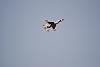 Click image for larger version. 

Name:	מפגן טיסנים בעי&#1.jpg 
Views:	52 
Size:	256.6  
ID:	86341