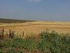 Click image for larger version. 

Name:	20130413_101825_תוצרת הארץ (Copy).jpg 
Views:	143 
Size:	248.0  
ID:	88448