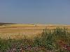 Click image for larger version. 

Name:	20130413_110318_היצירה (Copy).jpg 
Views:	137 
Size:	228.0  
ID:	88466