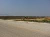 Click image for larger version. 

Name:	20130413_114745_תוצרת הארץ (Copy).jpg 
Views:	158 
Size:	159.1  
ID:	88496