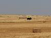 Click image for larger version. 

Name:	20130413_115021_שאול המלך (Copy).jpg 
Views:	154 
Size:	146.1  
ID:	88499