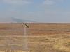Click image for larger version. 

Name:	20130629_092812_יוסף טרומפלד&#.jpg 
Views:	73 
Size:	280.1  
ID:	92867