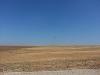 Click image for larger version. 

Name:	20130706_103212_יוסף טרומפלד&#.jpg 
Views:	69 
Size:	351.4  
ID:	93354