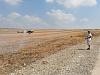 Click image for larger version. 

Name:	20130720_104122_יוסף טרומפלד&#.jpg 
Views:	106 
Size:	321.1  
ID:	94599