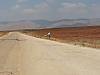 Click image for larger version. 

Name:	20130720_104134_יוסף טרומפלד&#.jpg 
Views:	120 
Size:	251.3  
ID:	94602