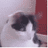 orenw78's Avatar